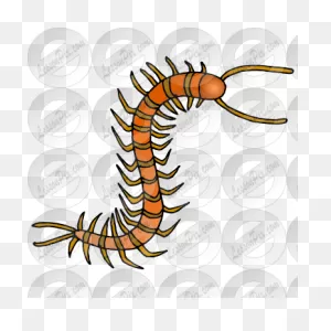 Centipede Picture For Classroom / Therapy Use - Great Centipede ClipartFlare.com 