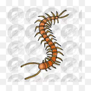 Centipede Picture For Classroom / Therapy Use - Great Centipede ClipartFlare.com 