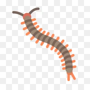 Centipede Vector PNG-WebP Icon - Png Repo Free Png Icons