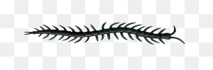 Free Centipede Cliparts, Download Free Centipede Cliparts Png ClipartFlare.com 