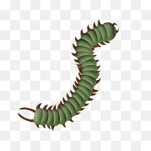 Snake Picks The Wrong Centipede To Mess With