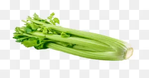 Celery Transparent Png - Stickpng