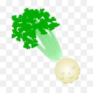 Celery | Free PNG-WebP