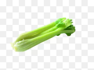 Celery Png Transparent Png, PNG-WebP Clip Art For Web - Download Clip ClipartFlare.com 
