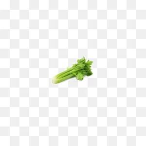 Celery