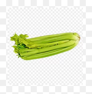 Download Green Celery Png Images Background | ClipartFlare