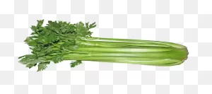 Fresh Celery (Each) (Celp)