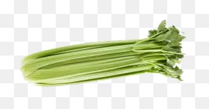 Trade - Fresh Summit - Celery