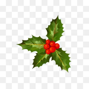 Holly Christmas Transparent | Png All