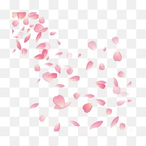 Cherry Blossom Flower Vector Png, Cherry Blossom, Flower - Cherry ClipartFlare.com 
