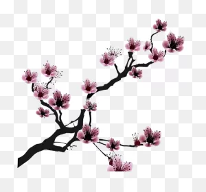 Cherry Blossom Drawing Clip Art - Cherry Blossom Black And White ClipartFlare.com 