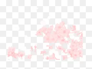 Cherry Blossom Clipart Transparent Tumblr - Cherry Blossom ClipartFlare.com 