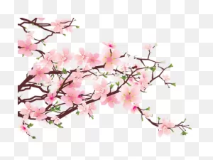 Free Cherry Blossom Branch Png, Download Free Cherry Blossom ClipartFlare.com 