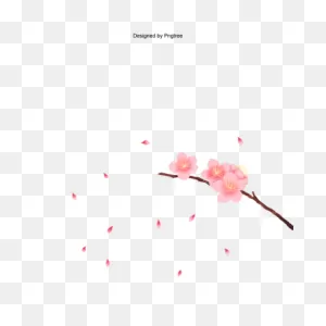 Vector Cherry Blossom In Spring, Cherry Blossom Clipart, Peach ClipartFlare.com 