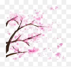 Blooming Cherry Tree, Cherry Blossom，sakura, Cherry, - Sakura ClipartFlare.com 