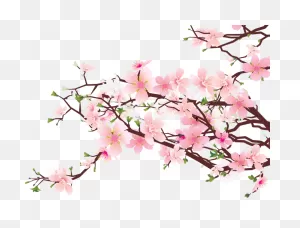 Cherry Blossom Clip Art, Cherry Blossom Art, Cherry Blossom Wall Art