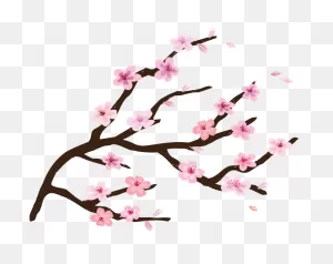 Cartoon Cherry Blossom Branch Clipart Cherry Blossom - Clipart ClipartFlare.com 