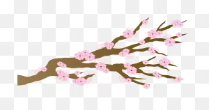 Cherry Blossom Branch Clipart. Free Download Transparent .png ClipartFlare.com 
