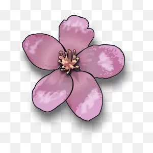 Free Cartoon Cherry Blossom, Download Free Cartoon Cherry Blossom ClipartFlare.com 