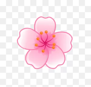 Japanese Cherry Blossom Background Drawing