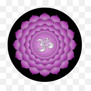 Root Chakra | Root Chakra Meditation, Muladhara Chakra, Root Chakra