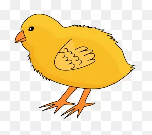 Chick Clipart. Free Download Transparent .png | ClipartFlare