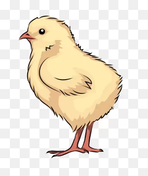 X - Baby Chick Clipart - (803X869) Png Clipart Download