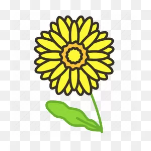 Chrysanthemum, Ecology, Environment, Flower, Garden, Plant ClipartFlare.com 
