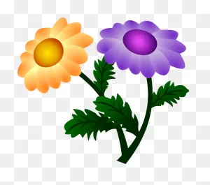 Vector Chrysanthemum Clipart - Full Size Clipart (#2455562 ClipartFlare.com 