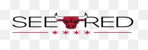 See Red - Chicago Bulls Png Logo - (1024X347) Png Clipart Download