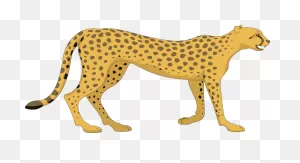Cat Cheetah Walking Animal Ta - Cheetah Clipart - Png Download ClipartFlare.com 