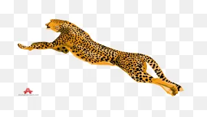 Download Cheetah Png Download Image - Jumping Cheetah Clipart Png ClipartFlare.com 