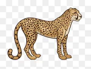 Download Cheetah Clipart Transparent - Cheetah Clipart - Full Size ClipartFlare.com 