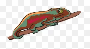 Branch Chameleon Reptile - Free Vector Graphic On ClipartFlare