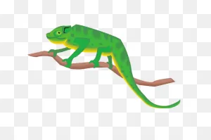 Chameleon Png Clipart | Png All