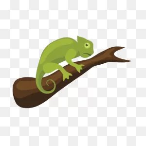 Chameleon Reptile | Free PNG-WebP