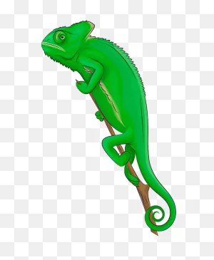 Veiled Chameleon Clipart. Free Download Transparent .png | ClipartFlare