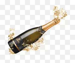 Champagne Popping Png | Champagne Pop, Champagne, Champagne Birthday