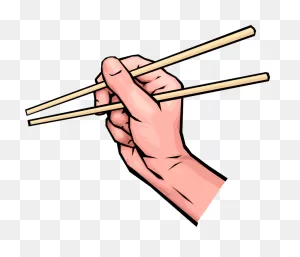 Japanese Chopsticks - Kikkoman Corporation