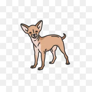 Animals, Chihuahua, Dog, Mammal, Pet, Puppy, Teacup Dog Icon ClipartFlare.com 