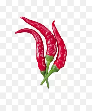 3 Red Chili Peppers On Transparent Background Beach Towel