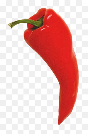 Red Chili Pepper | Stuffed Peppers, Chili Pepper, Stuffed Hot Peppers
