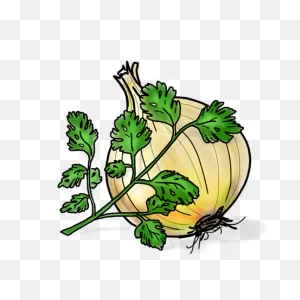 Cilantro & Roasted Onion - Olive This!olive This!