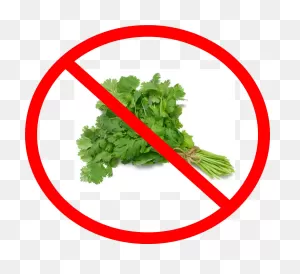 Download Say No To Cilantro - Coriander (Cilantro) Slo-Bolting ClipartFlare.com 