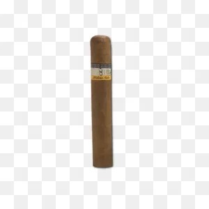 Cohiba Robustos Cigar - Buy Cuban Cigars Online – Egm Cigars