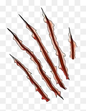 Download Claw Scratches Hd Hq Png Image | ClipartFlare
