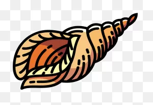 Clam Clipart. Free Download Transparent .png | ClipartFlare