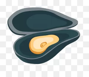 Clam Clipart. Free Download Transparent .png | ClipartFlare