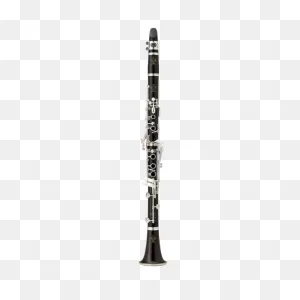 Buffet R13 Professional Clarinet | Products