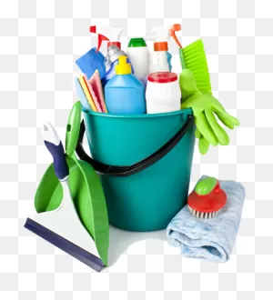 Download Hd House Cleaning Supplies Png Download - Thieves Cleaner ClipartFlare.com 